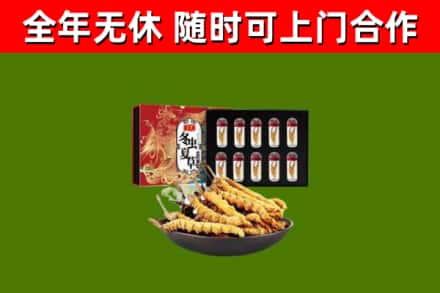 宜川回收冬虫夏草价格